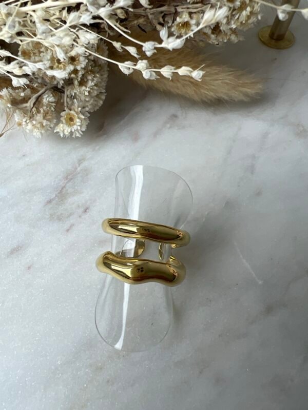 Bague double anneaux